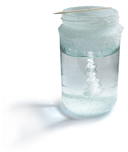 Salt crystal growing in jar