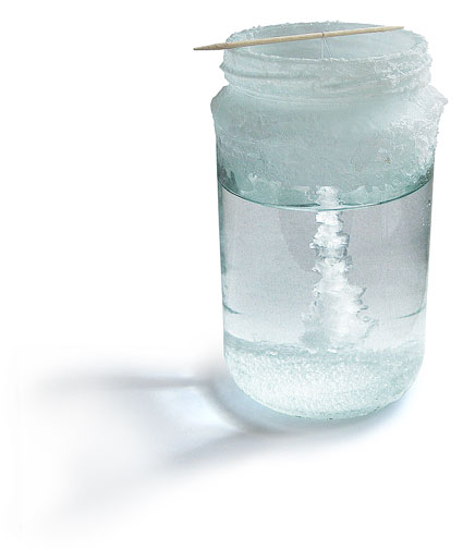 Growing Salt Crystals