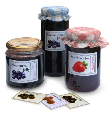 Design Kitchen Online on Your Kids Then Make Delicious Jam And Use These Labels To Make Your