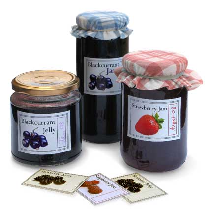 Design   Kitchen Online on Your Kids  Then Make Delicious Jam And Use These Labels To Make Your