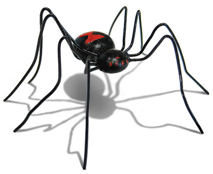 Glue gun bug, Black Widow Spider