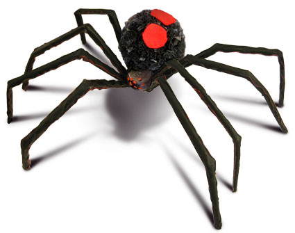 black widow spider essay black widow spider essay