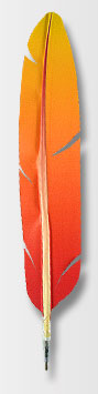 real writing phoenix quill