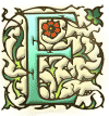 Dragonry illustrated letter E