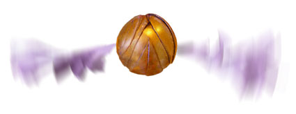 flying snitch