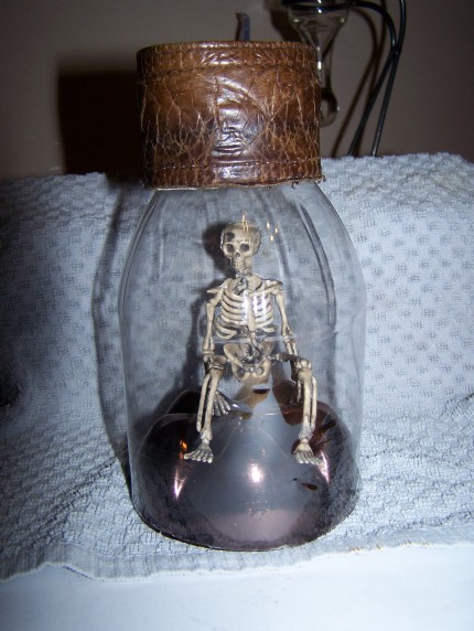 ACESHIGH's Victorian Domed Display Case