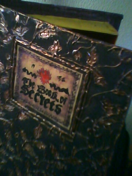 Nyunyu's Secret Box Book