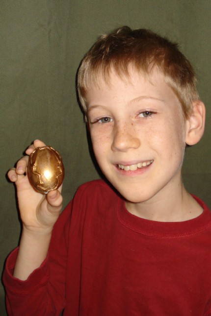 dragonboy10's Dragon Egg