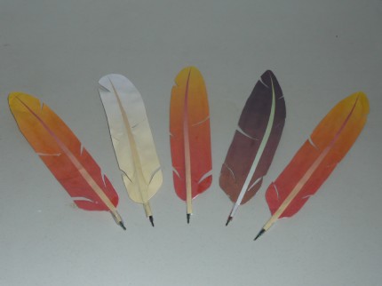 jokate's Feather Quills
