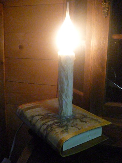 luppie05's Secret Box Book