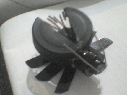 macca's Jellyfishguy's bottle cap beetle