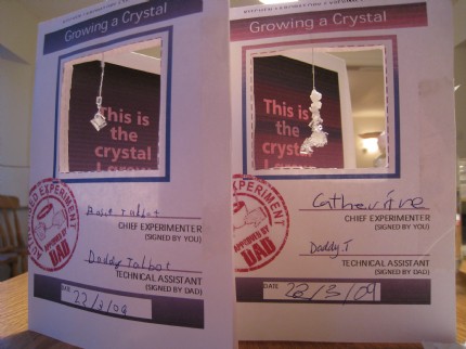 maddad's Grow a Crystal